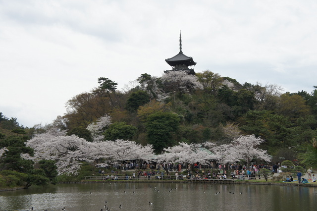 三渓園絶景２.jpg