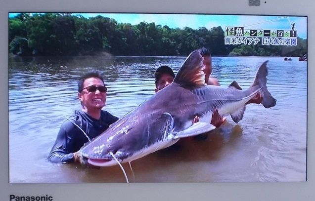 69ページ目の 今日の出来事 ドン 愚利公の連れづれ草 楽天ブログ
