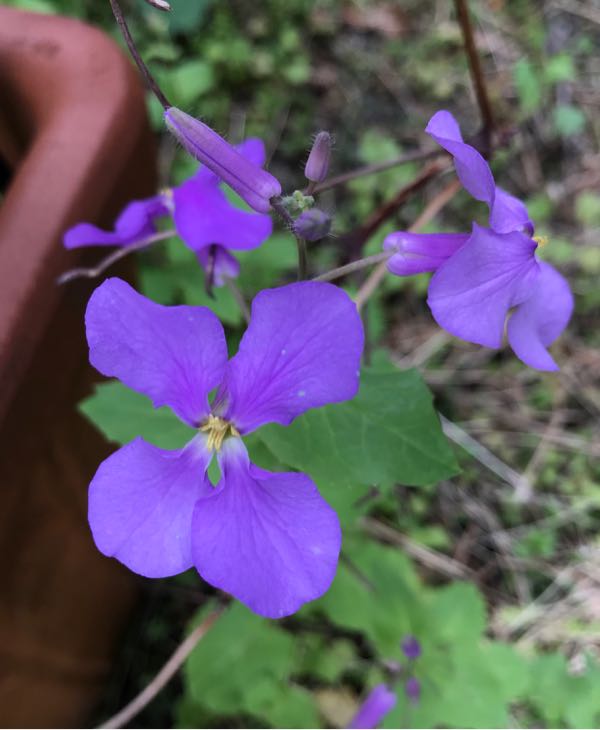 rblog-20180324203645-01.jpg