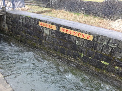 DSC00228.JPG