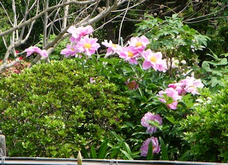 DSCN3878.JPG