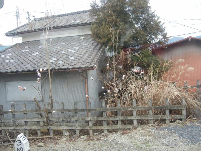 DSCN6756.JPG