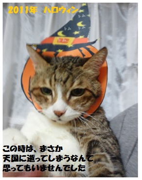 2011トムのハロウィン