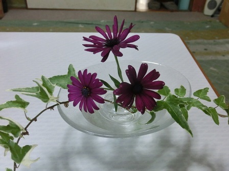CIMG0787.JPG