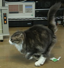 5DA_0082-29-1.jpg