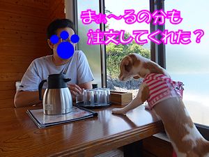 20140930オーダー