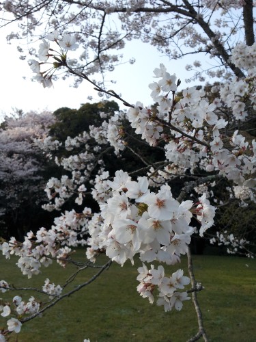 20120408_165926.jpg