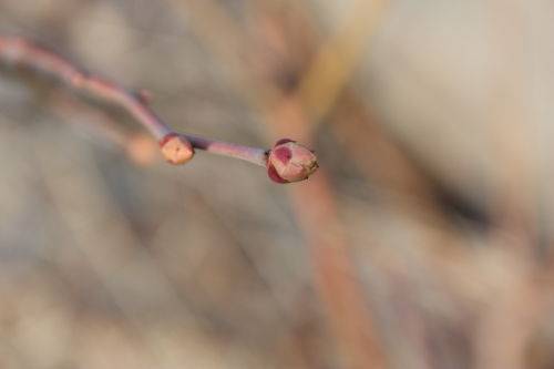 2015031006.JPG