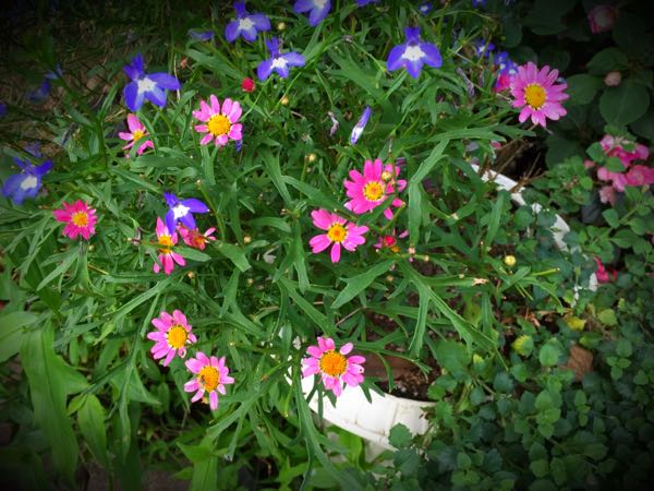 rblog-20160630184304-03.jpg