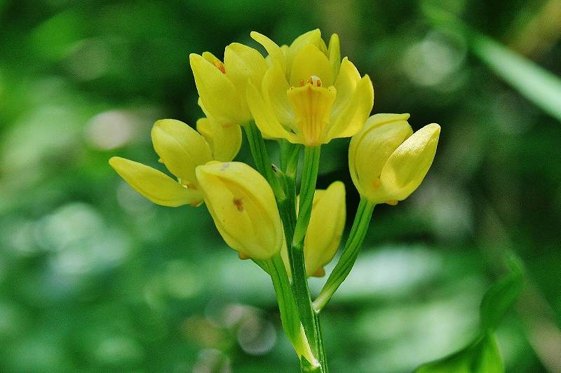 IMG_0790 (800x533).jpg