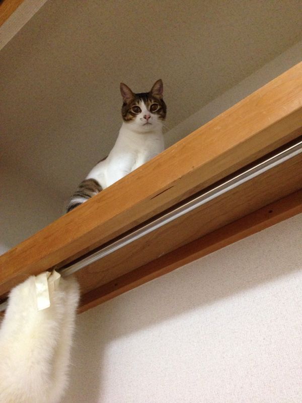 rblog-20131205225900-01.jpg