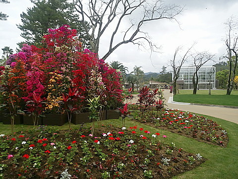 IMG_20160416_152429.jpg