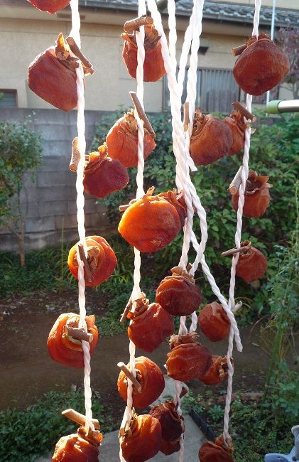 干し柿 気温の激しい変動 昼顔のつぶやき 楽天ブログ