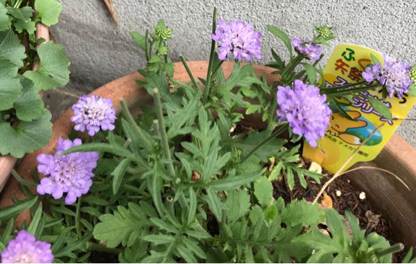 rblog-20180624175618-08.jpg