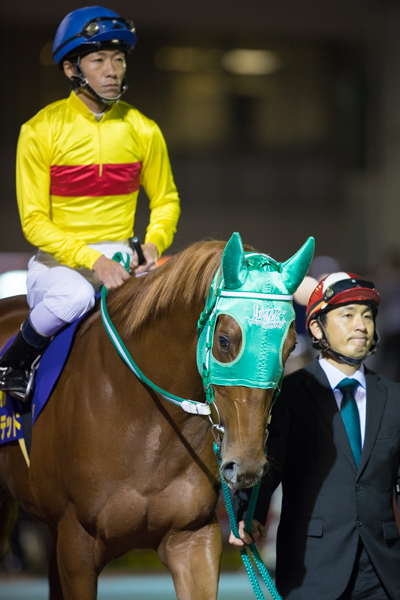 ハイセイコー記念は12着でした 森泰斗騎手公式ブログ ~ Dirt Dreamer 楽天ブログ