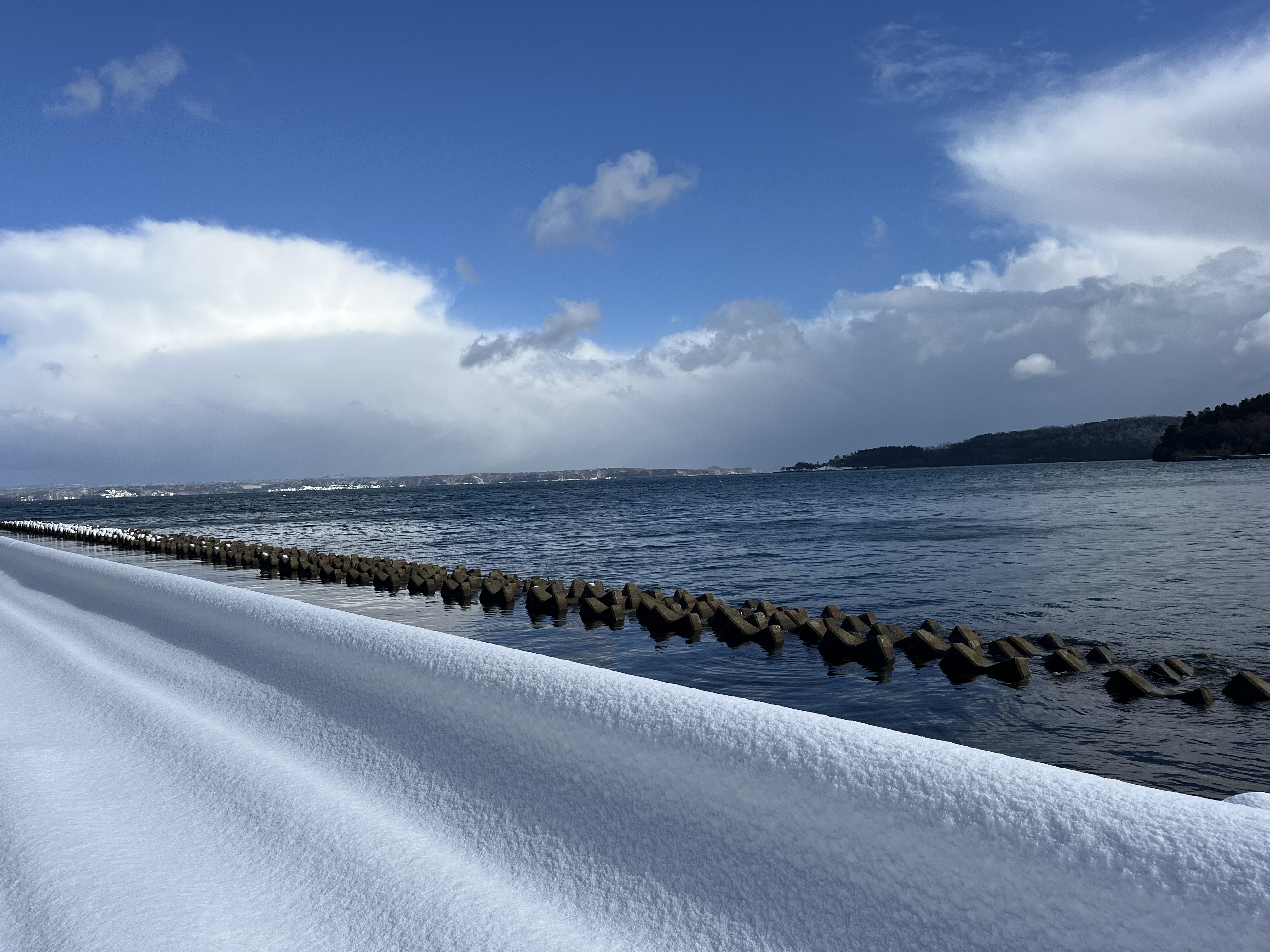 〜4児母の日常〜