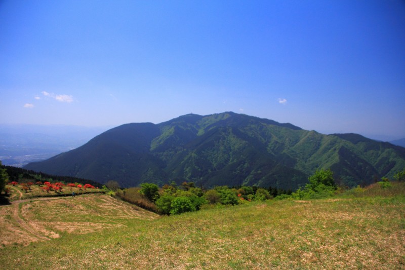 1,959－初夏の葛城山その2 | Huちゃん 写真日記 - 楽天ブログ