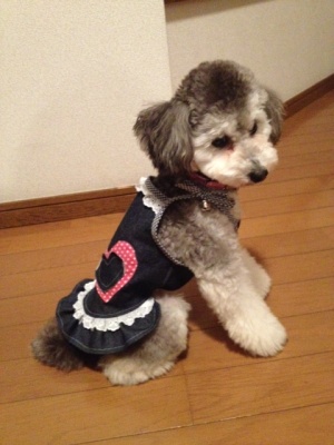 20121030d.JPG