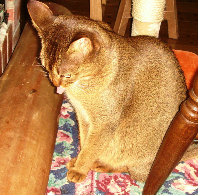 DSC09004.jpg
