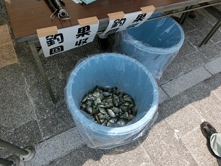 外来魚釣り大会・魚