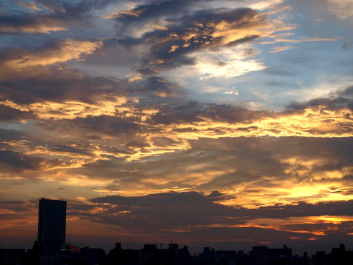 No1233-008_100912