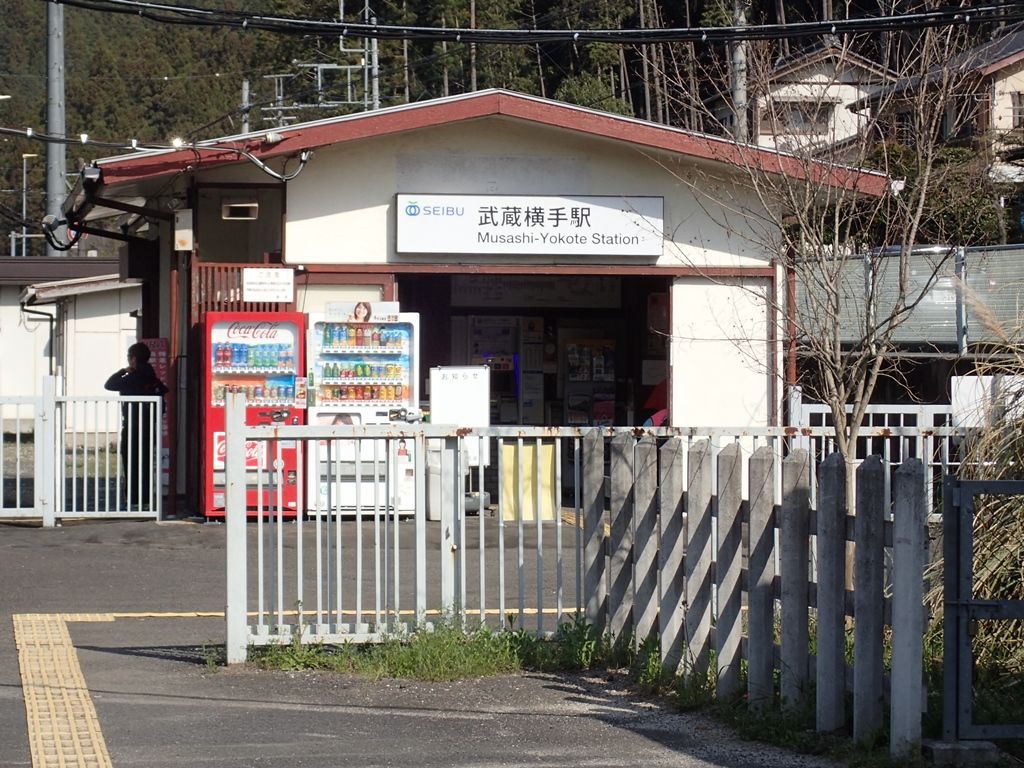 18 3 奥武蔵 武蔵横手 物見山 日和田山 巾着田 高麗 ボケないための日記のようなモノ 楽天ブログ