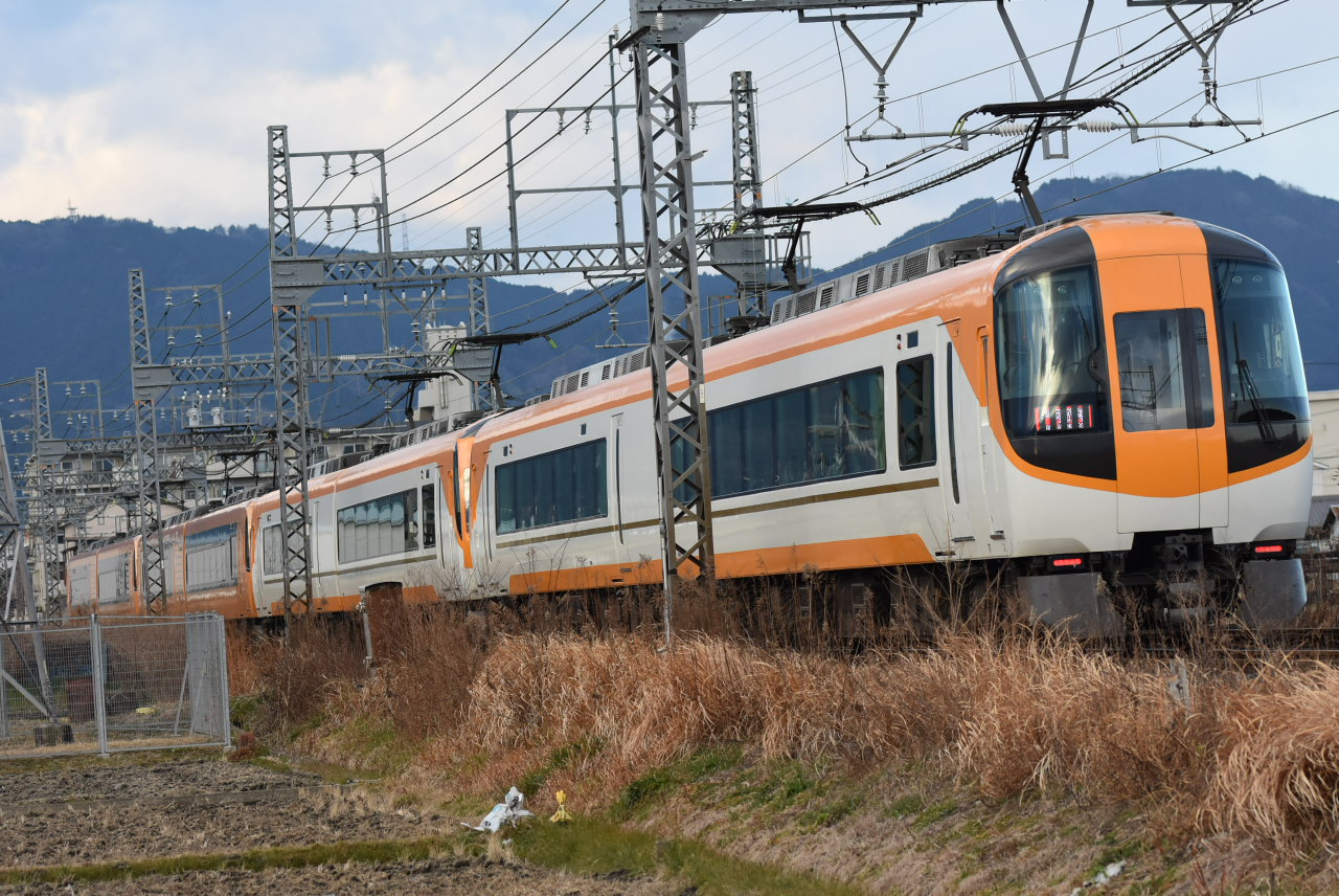 DSC_9529.JPG
