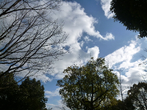 P1140863(1).JPG