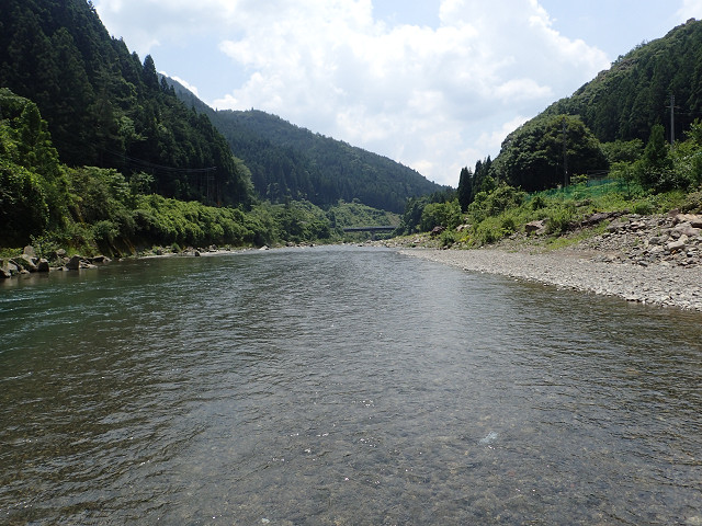 resize0006.jpg