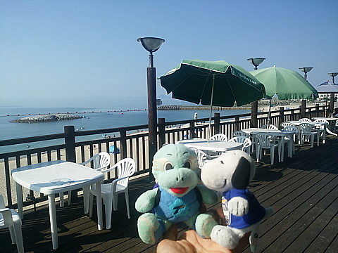 IMG_20160813_155837.jpg
