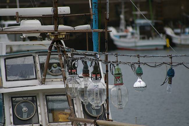 IMGP5118-s.JPG