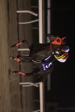 返し馬