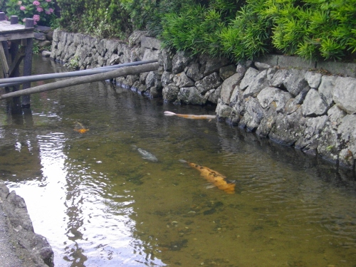 川島藍場川 (5) (500x375).jpg