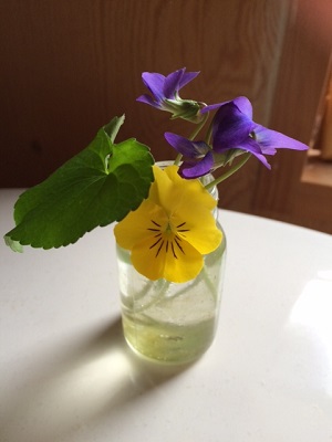 image66.jpg