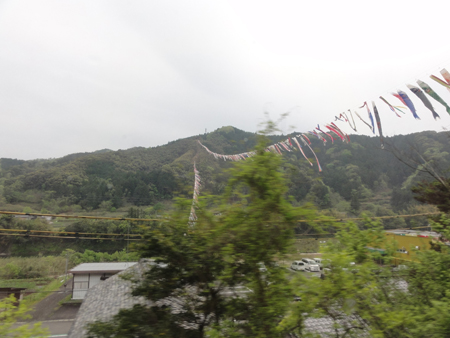 こいのぼりの川渡し