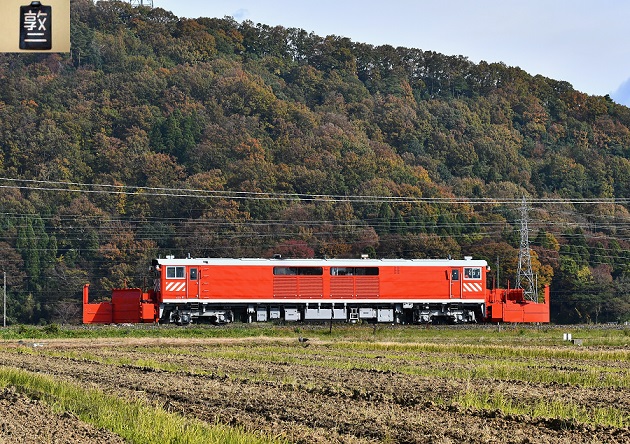 14.JPG