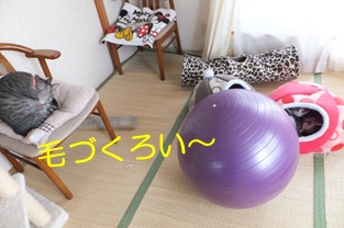 20121025_6.jpg