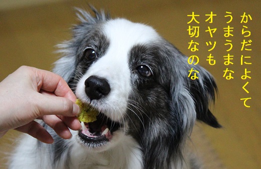 うまうま
