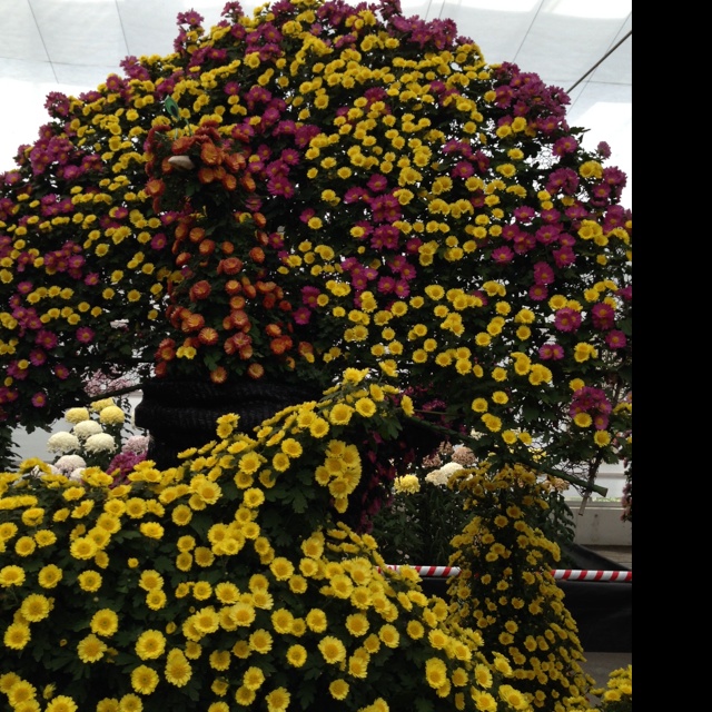rblog-20131111133412-03.jpg
