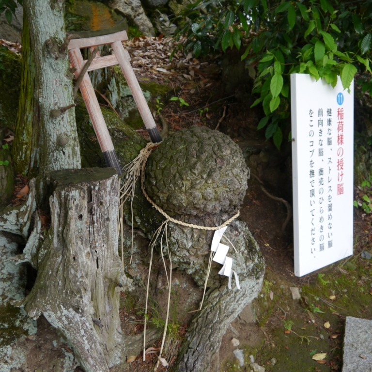 P1070391.JPG