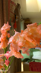 rblog-20130807004637-00.png