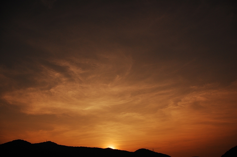 D40 123.jpg