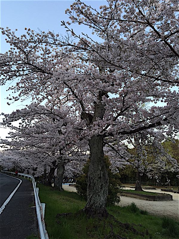 rblog-20160406072244-01.jpg