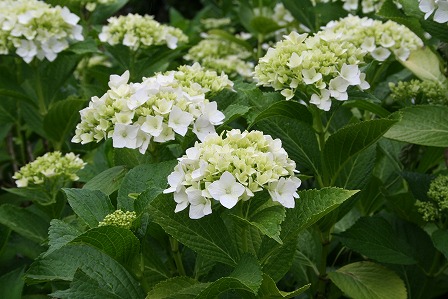 s-IMG_3001.jpg