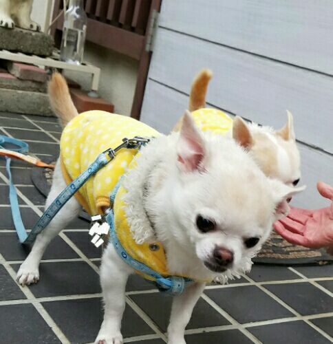 rblog-20161123161950-01.jpg
