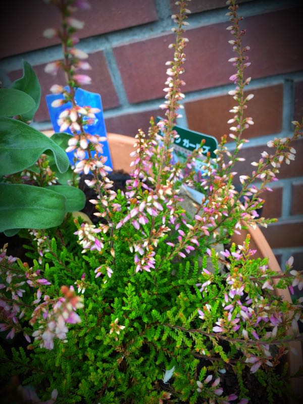 rblog-20151029145335-02.jpg