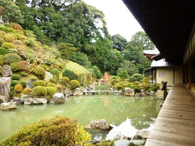 P1000132 - コピー.JPG