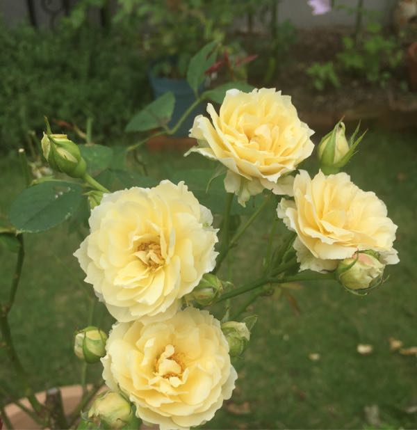 rblog-20160717154546-07.jpg