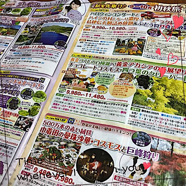 rblog-20170819225322-01.jpg