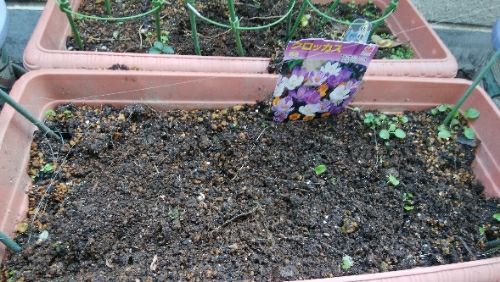 rblog-20171103112352-03.jpg